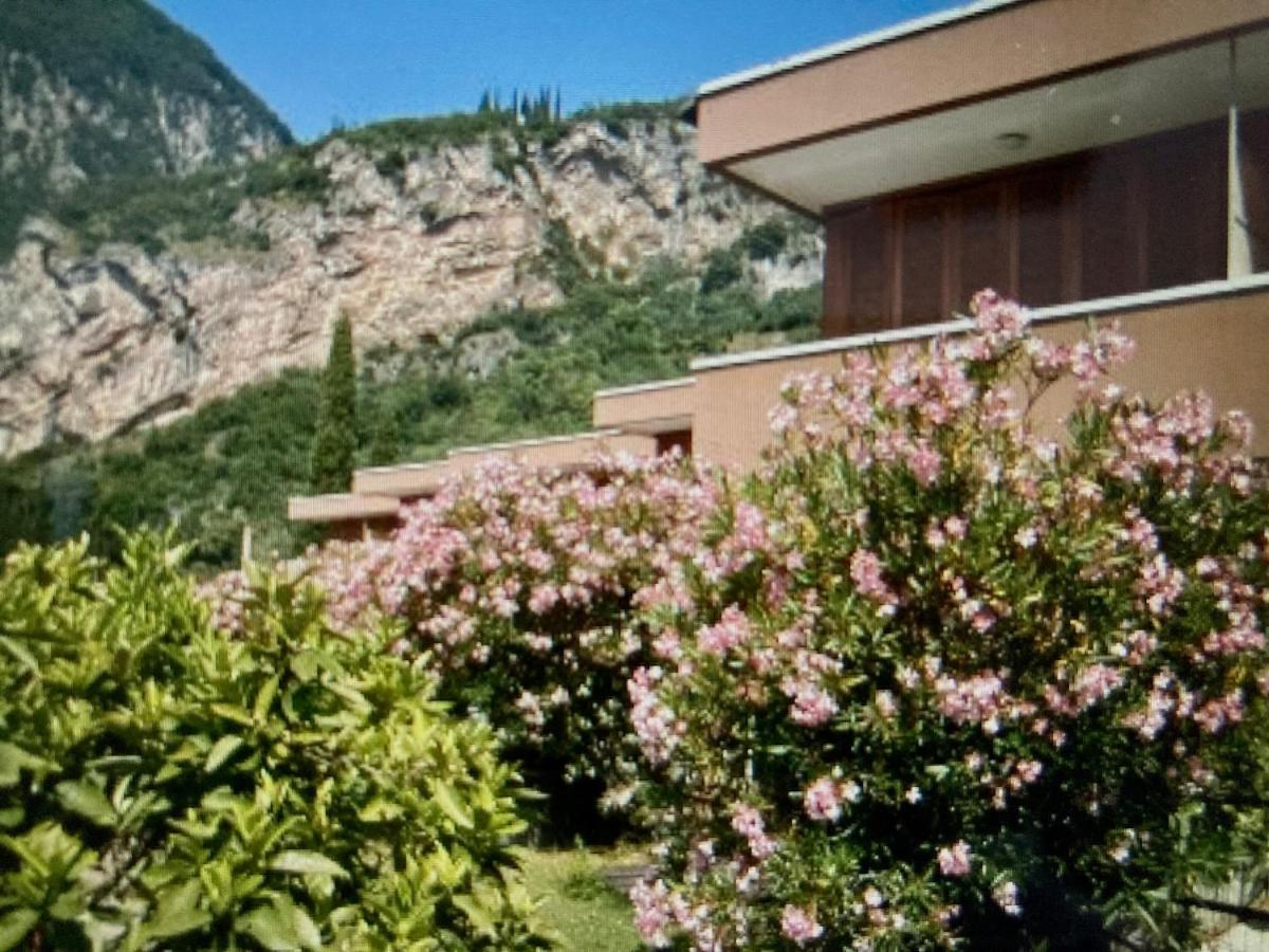 Appartamento Peppino Mit Seeblick Und Pool Riva Zewnętrze zdjęcie